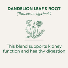 Traditional Medicinals Dandelion Root and Leaf harvested for herbal infusion.