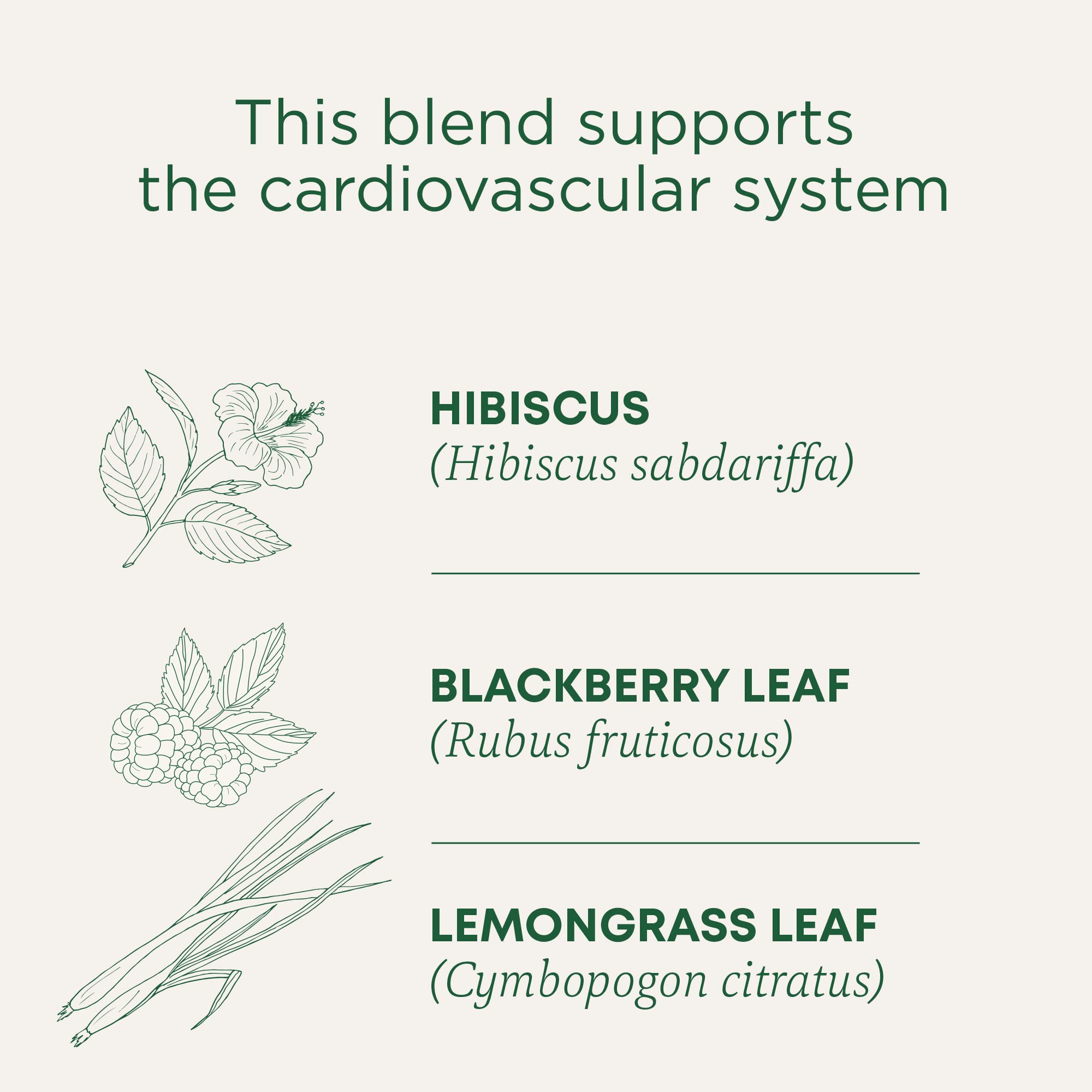 Traditional Medicinals Egyptian hibiscus farms capture vibrant calyces for flavor