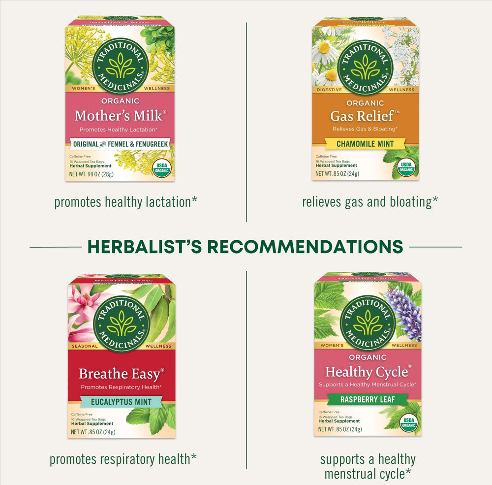 Traditional Medicinals fennel tea hot infusion in infuser signals caffeine-free comfort