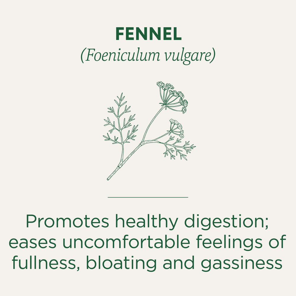 Traditional Medicinals fennel tea steeped cup releases soothing herbal aroma