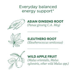 Traditional Medicinals ginseng-wild-apple-mint tea steeping cup promotes clear thinking.