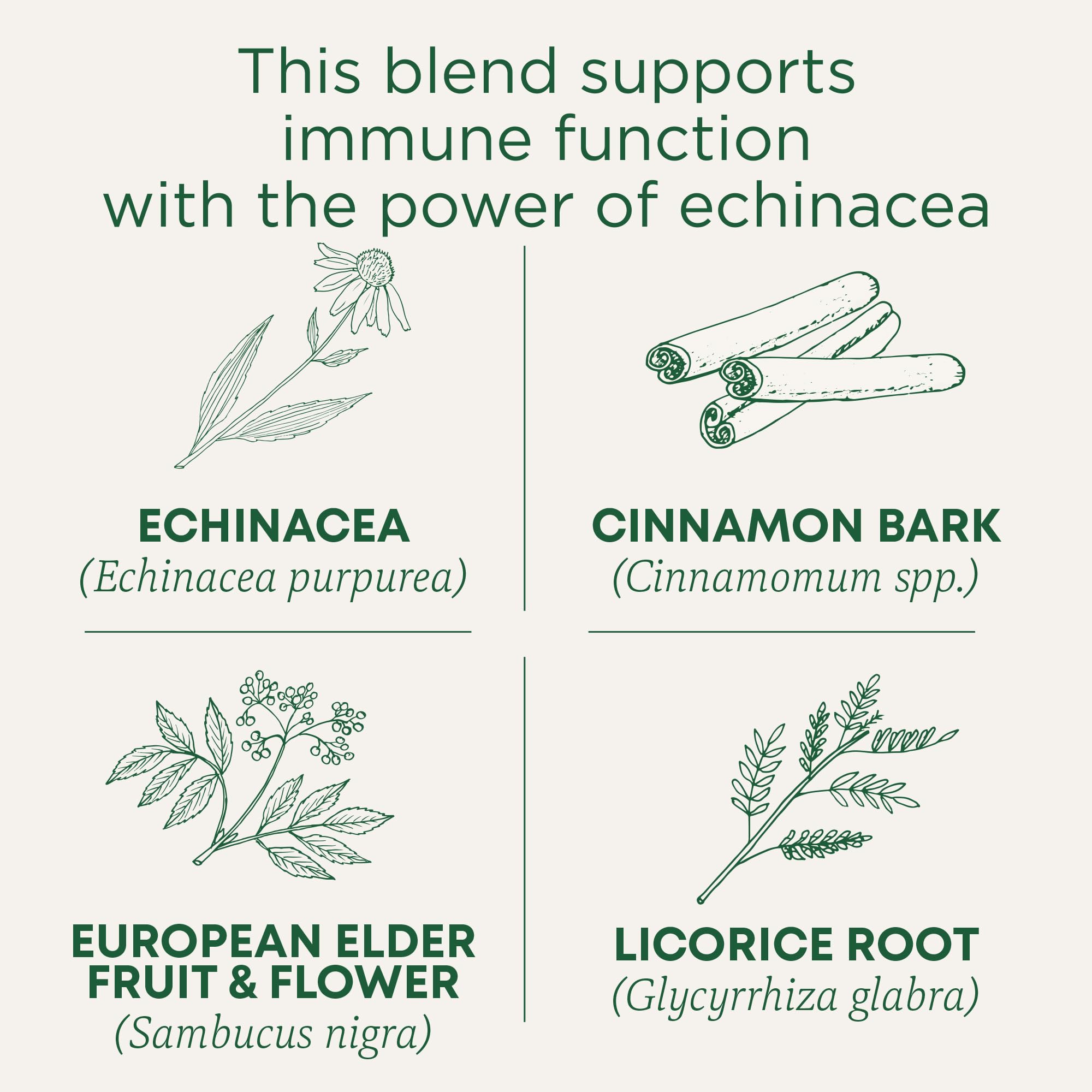 Brewing cup of Traditional Medicinals Immune Zoom for a warm berry aroma