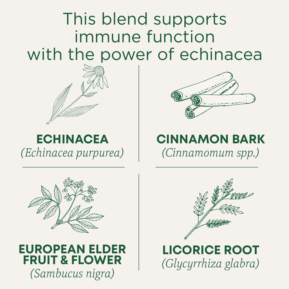 Brewing cup of Traditional Medicinals Immune Zoom for a warm berry aroma