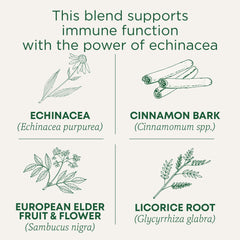 Brewing cup of Traditional Medicinals Immune Zoom for a warm berry aroma