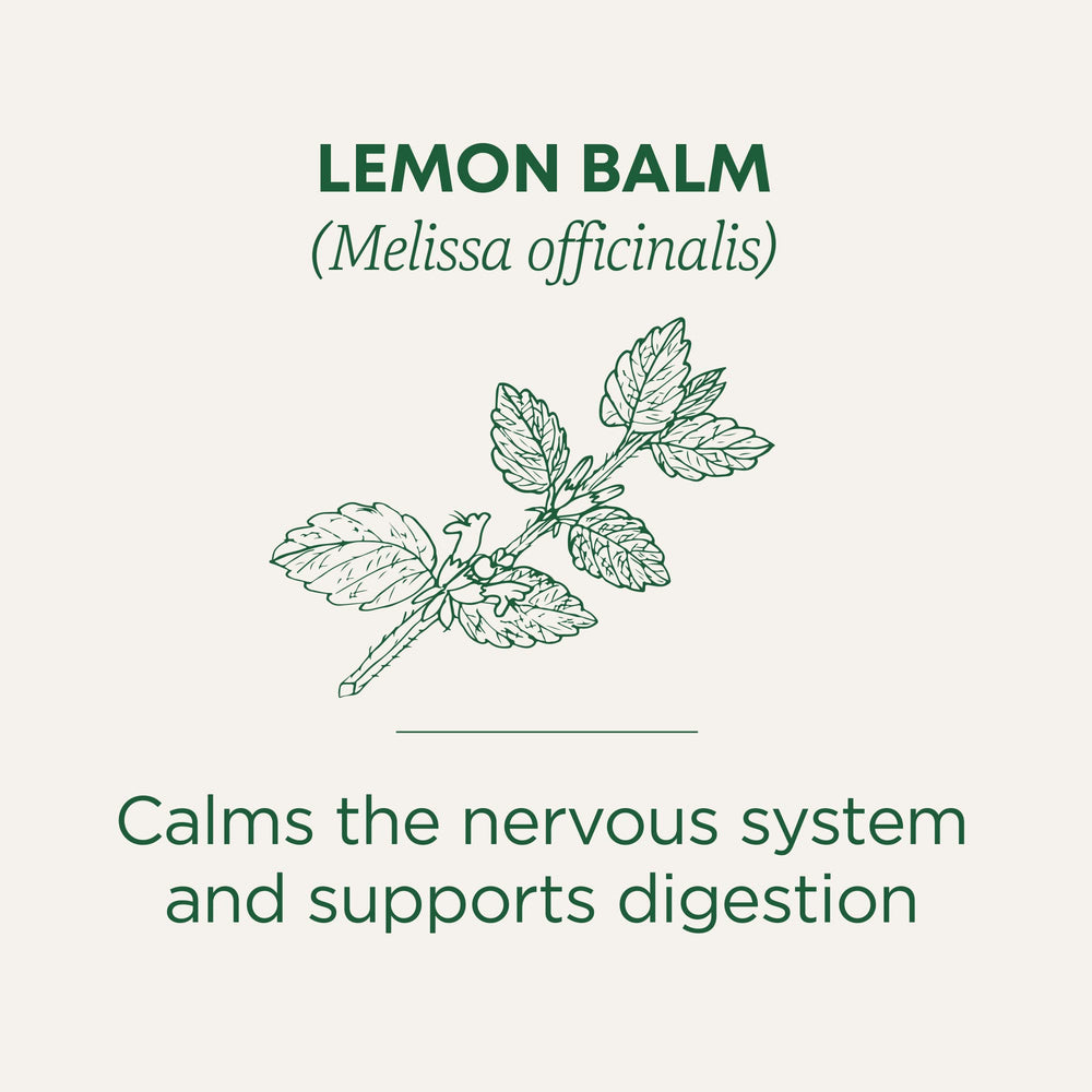 Traditional Medicinals lemon balm brew pouring demonstrates gentle infusion for calm moments.