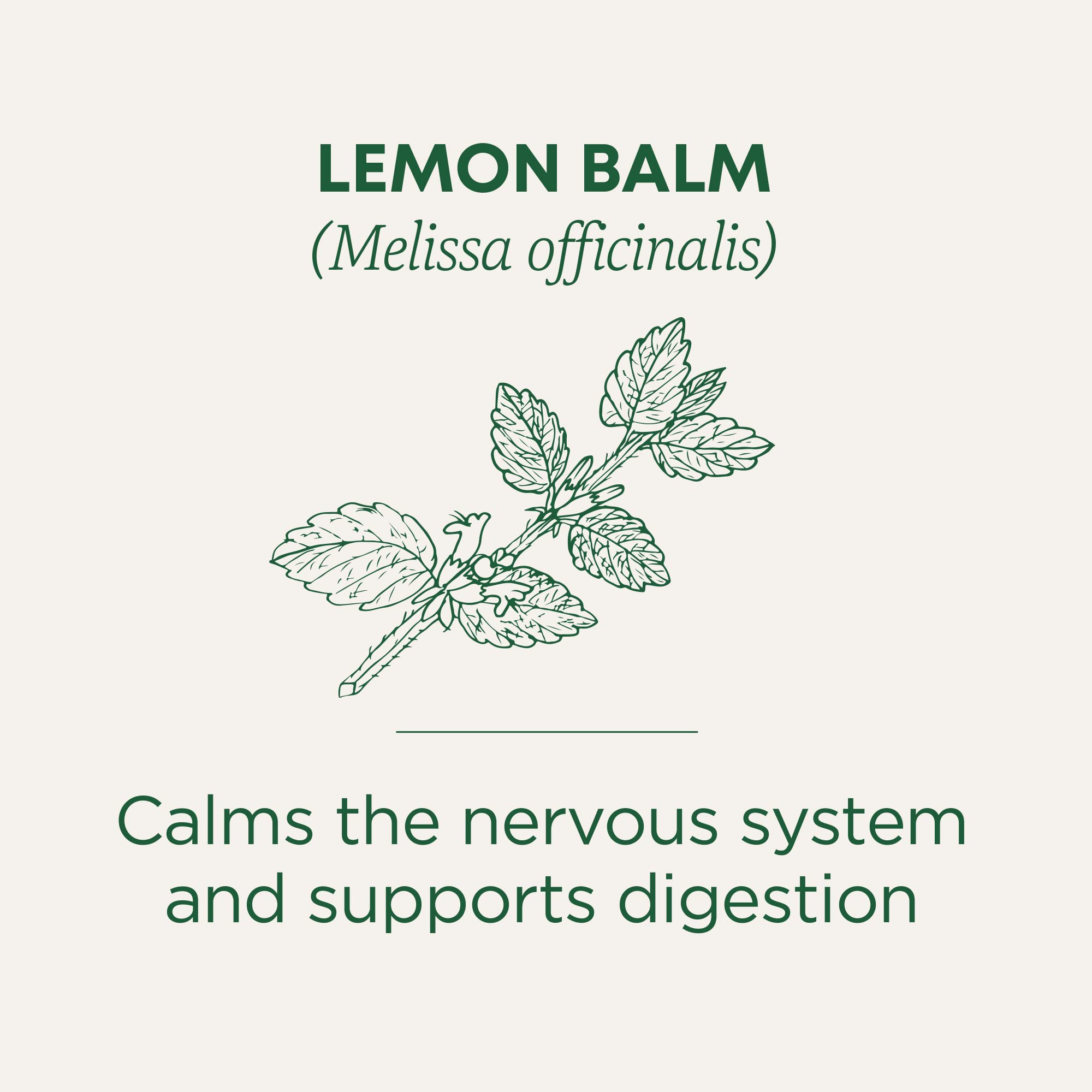 Traditional Medicinals Lemon Balm Tea bags pack ready for daily use.