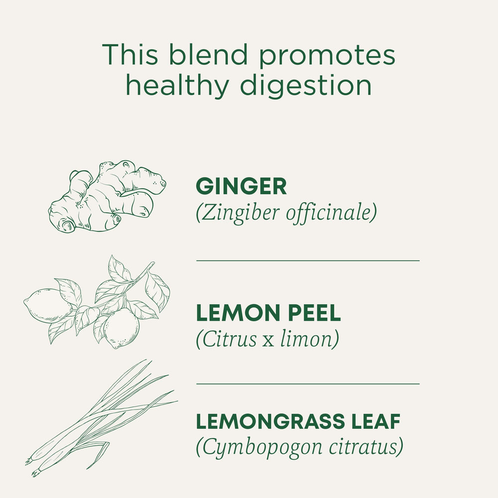 Traditional Medicinals Lemon Ginger Tea bag closeup emphasizes organic ingredients