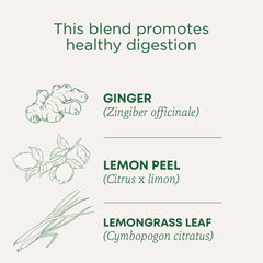 Traditional Medicinals Lemon Ginger Tea bag closeup emphasizes organic ingredients
