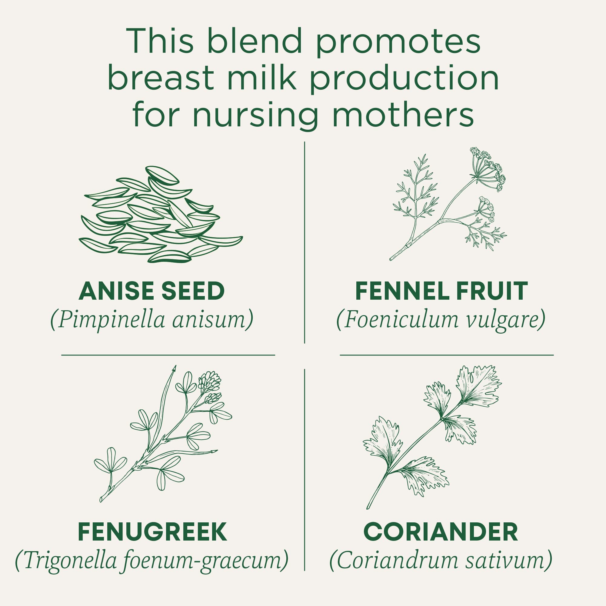 Traditional Medicinals Mother's Milk tea includes blessed thistle herb.