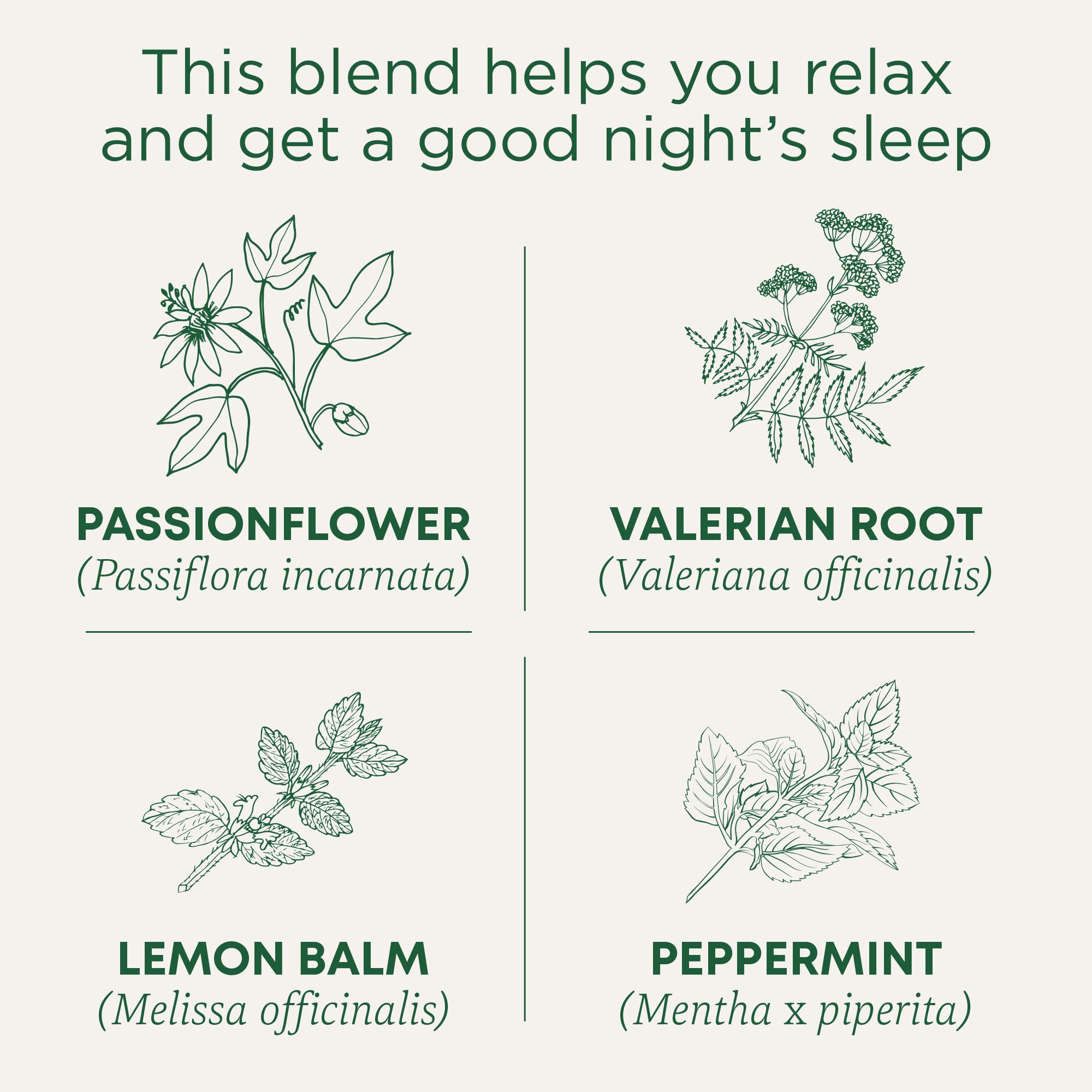 Traditional Medicinals Nighty Night Extra label close-up highlighting the herbal blend.