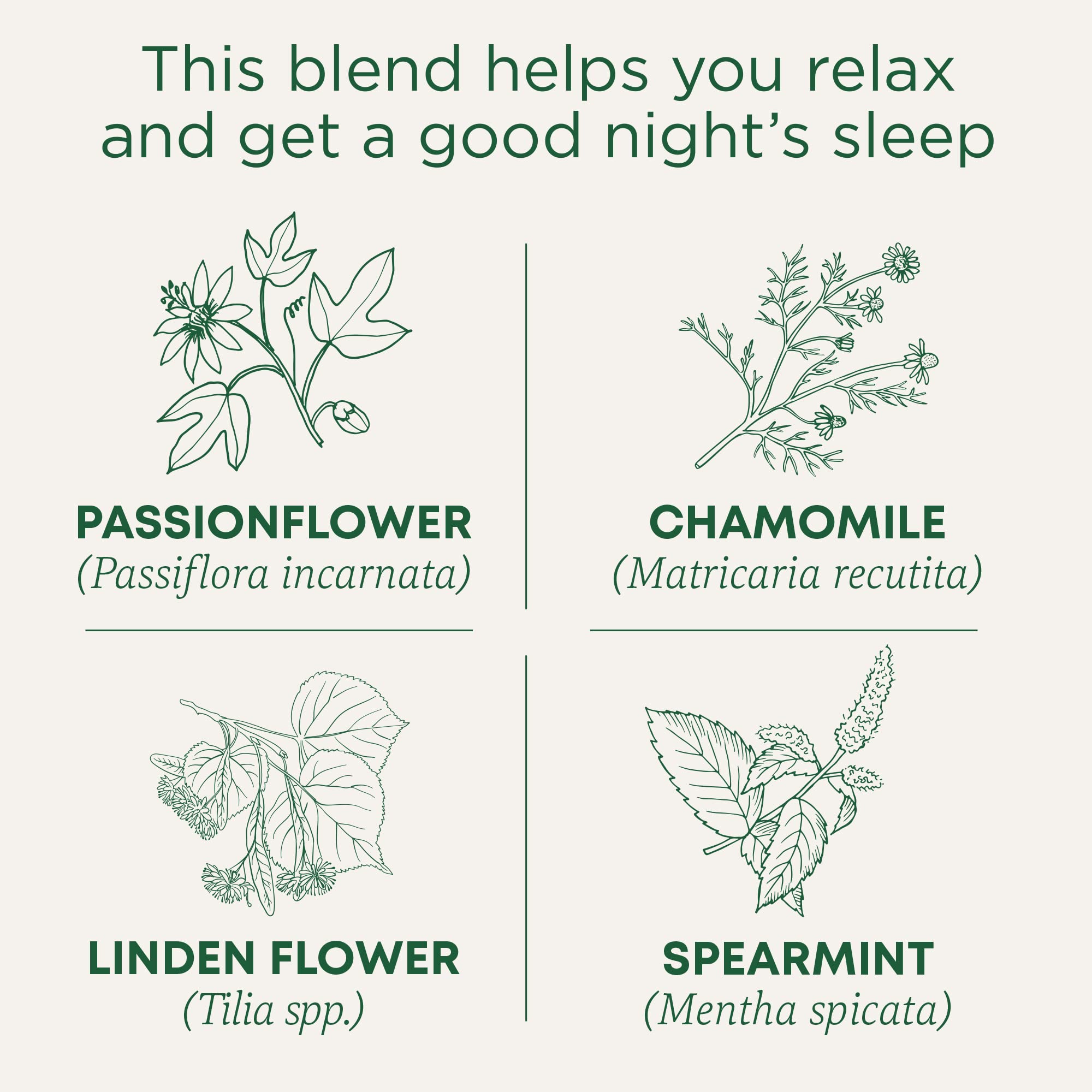 Traditional Medicinals Nighty Night tea bags ready to steep, caffeine-free blend