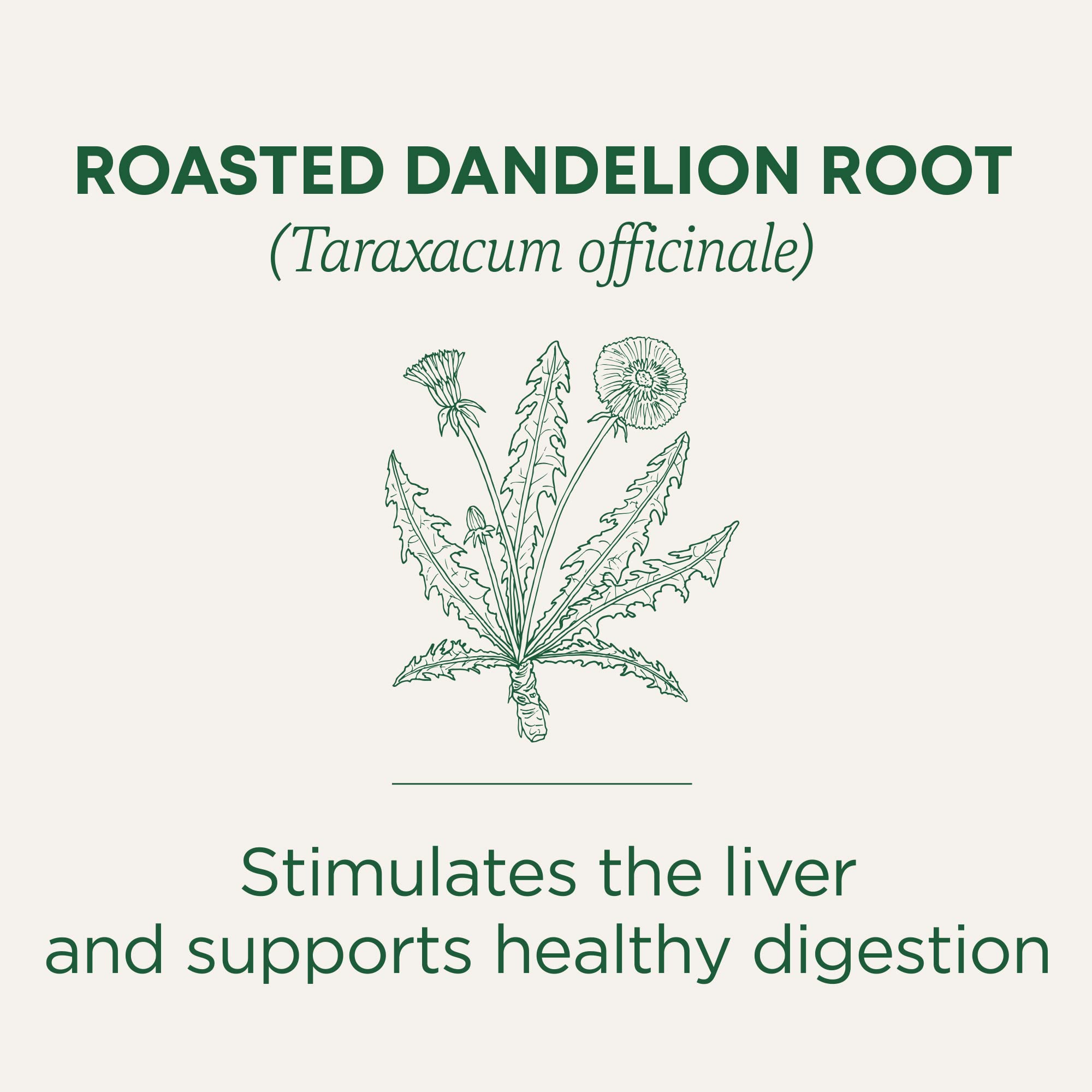 Traditional Medicinals organic and non-GMO certifications on packaging.