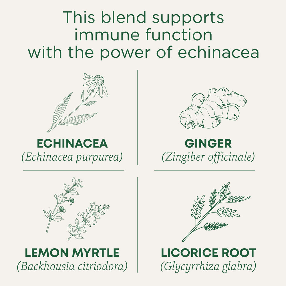 Traditional Medicinals Organic Immune Zoom tea pack shown in a 16-count box for daily sipping.