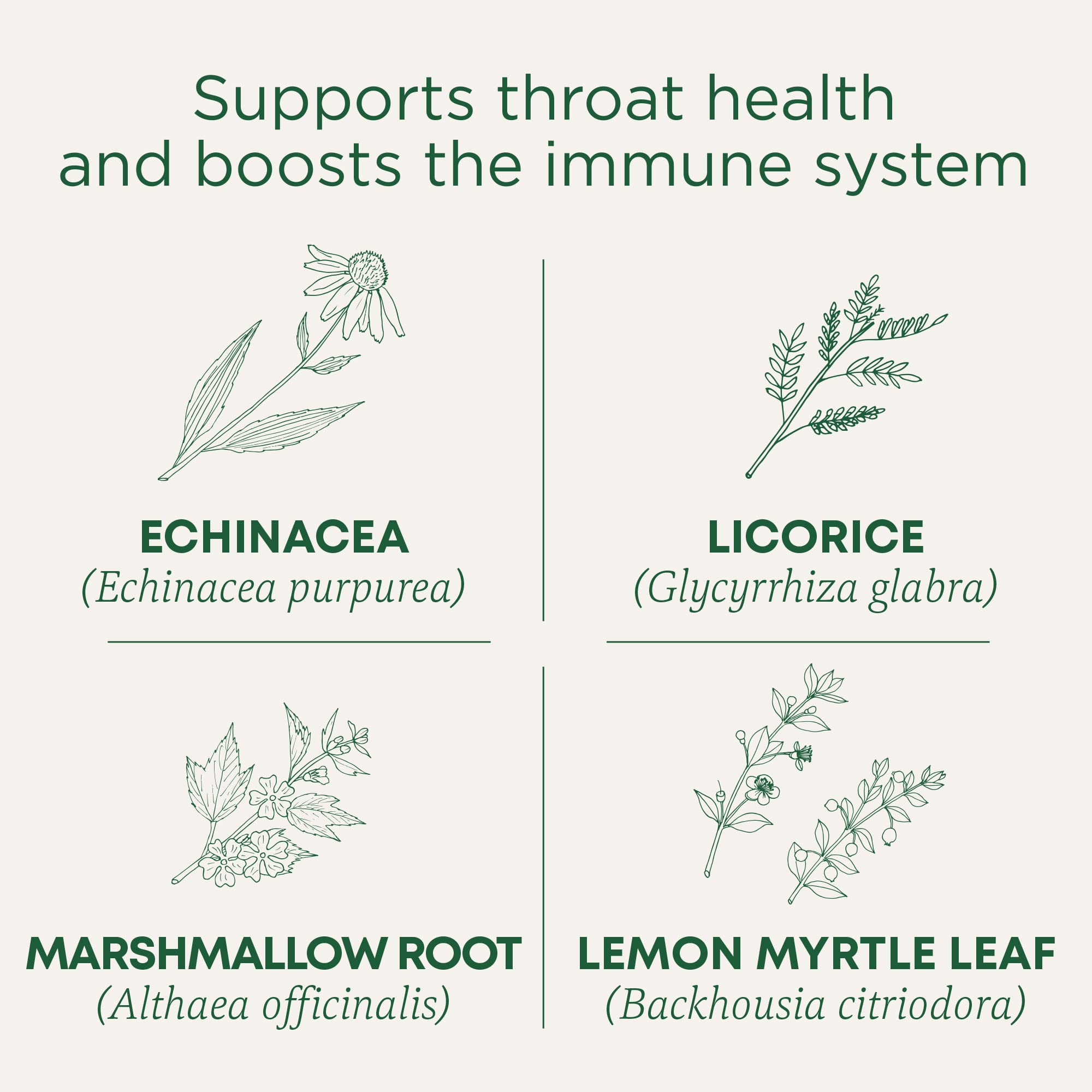 Traditional Medicinals Organic, Kosher, Non-GMO, caffeine-free tea packaging.