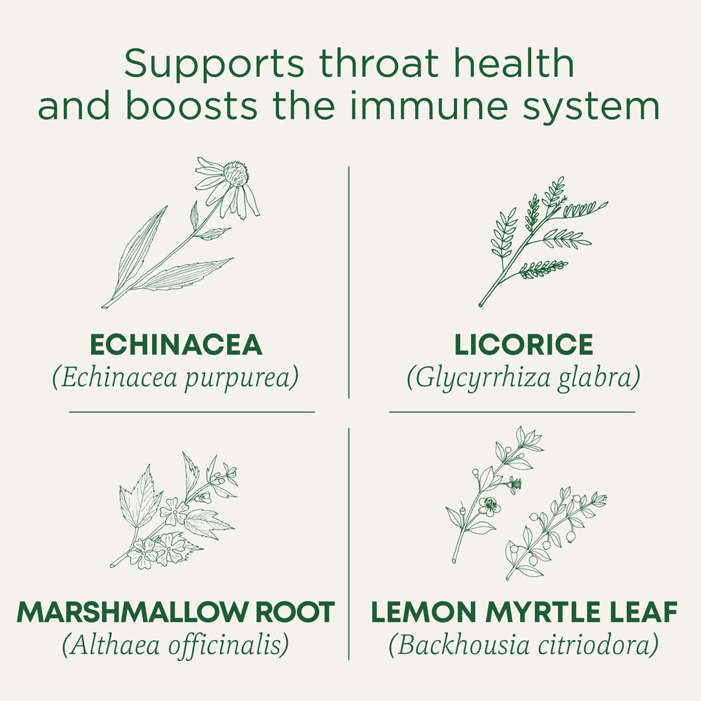 Traditional Medicinals Organic, Kosher, Non-GMO, caffeine-free tea packaging.