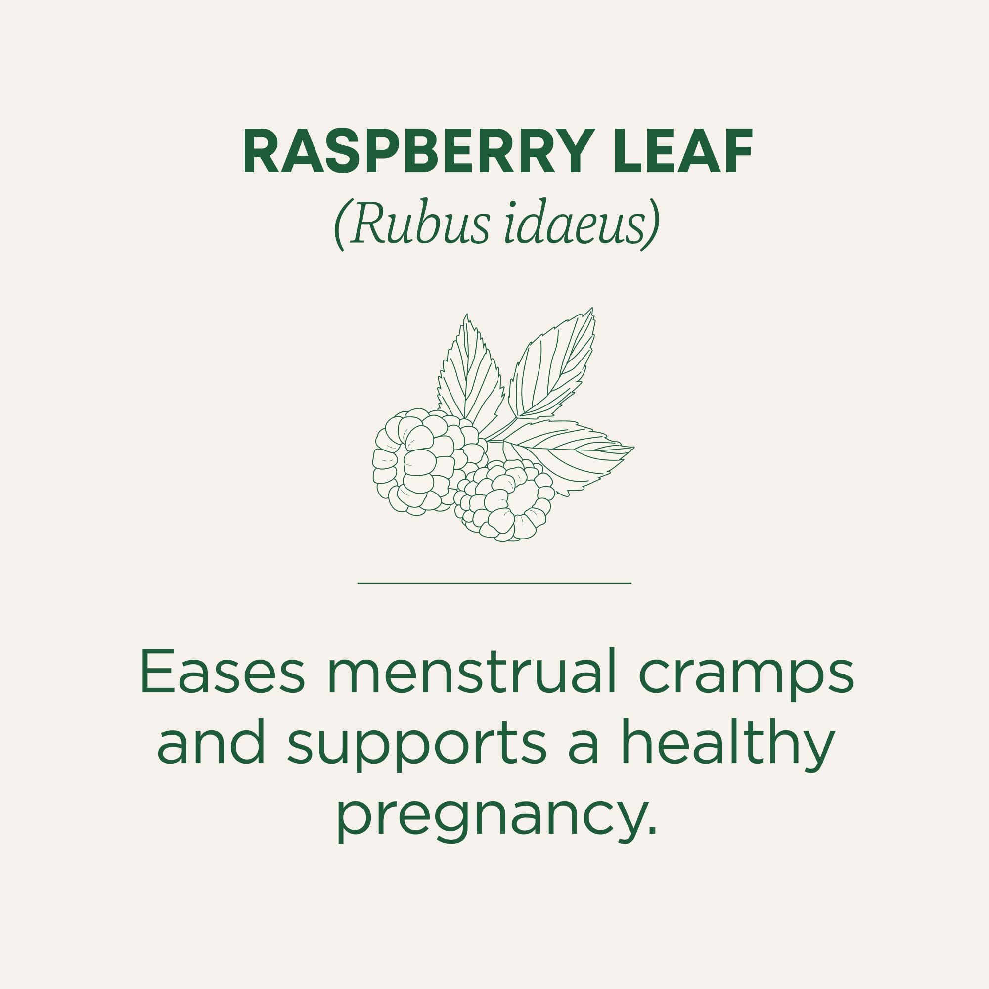 Organic labels and certifications on Traditional Medicinals raspberry leaf tea box.
