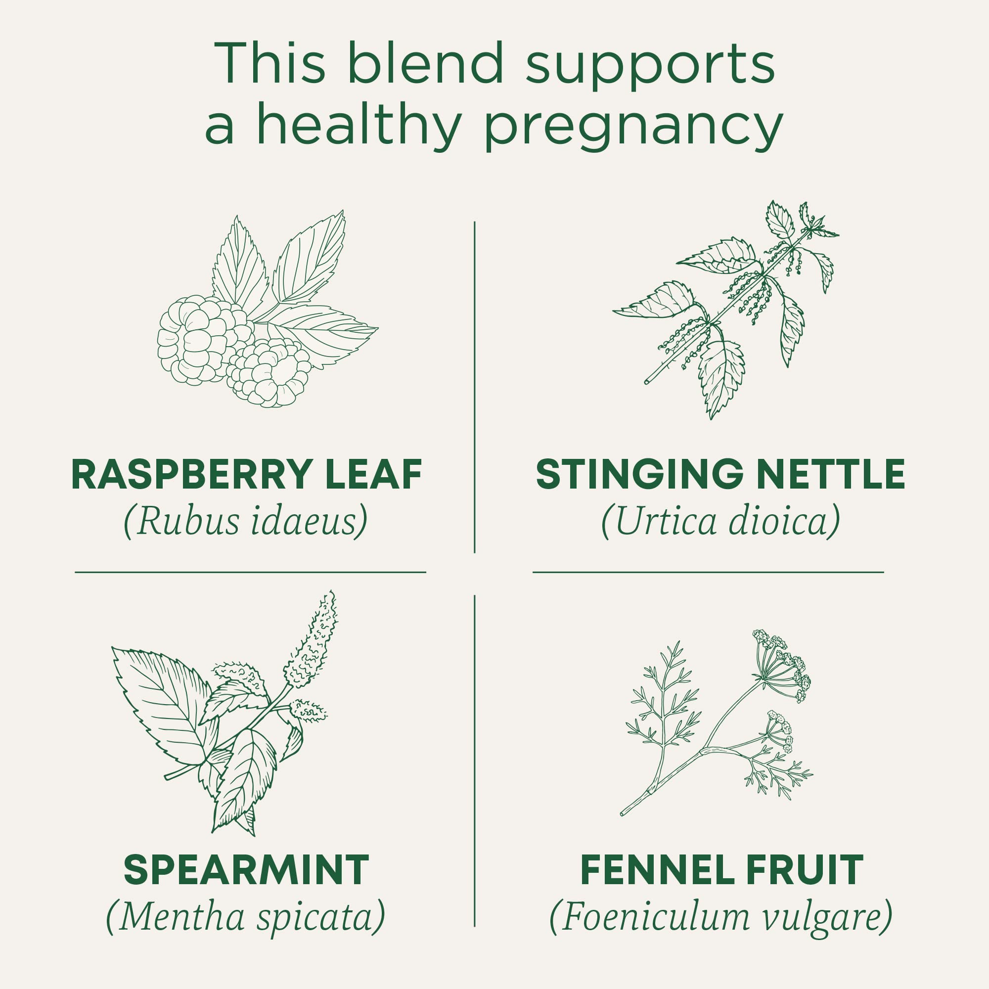 Traditional Medicinals organic pregnancy tea packaging highlighting certified organic ingredients.