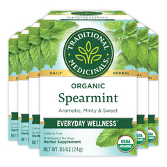 Traditional Medicinals Organic Spearmint tea bags resting for daily refreshment.