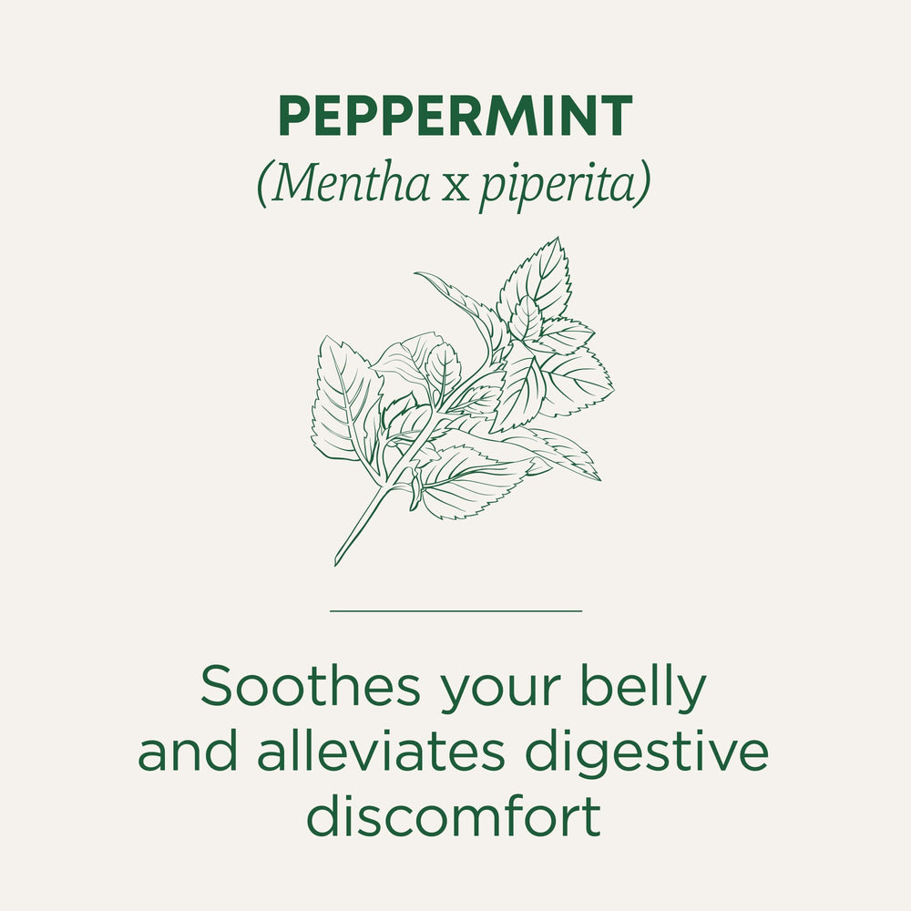 Traditional Medicinals peppermint tea steeping in a cup for a soothing aroma.