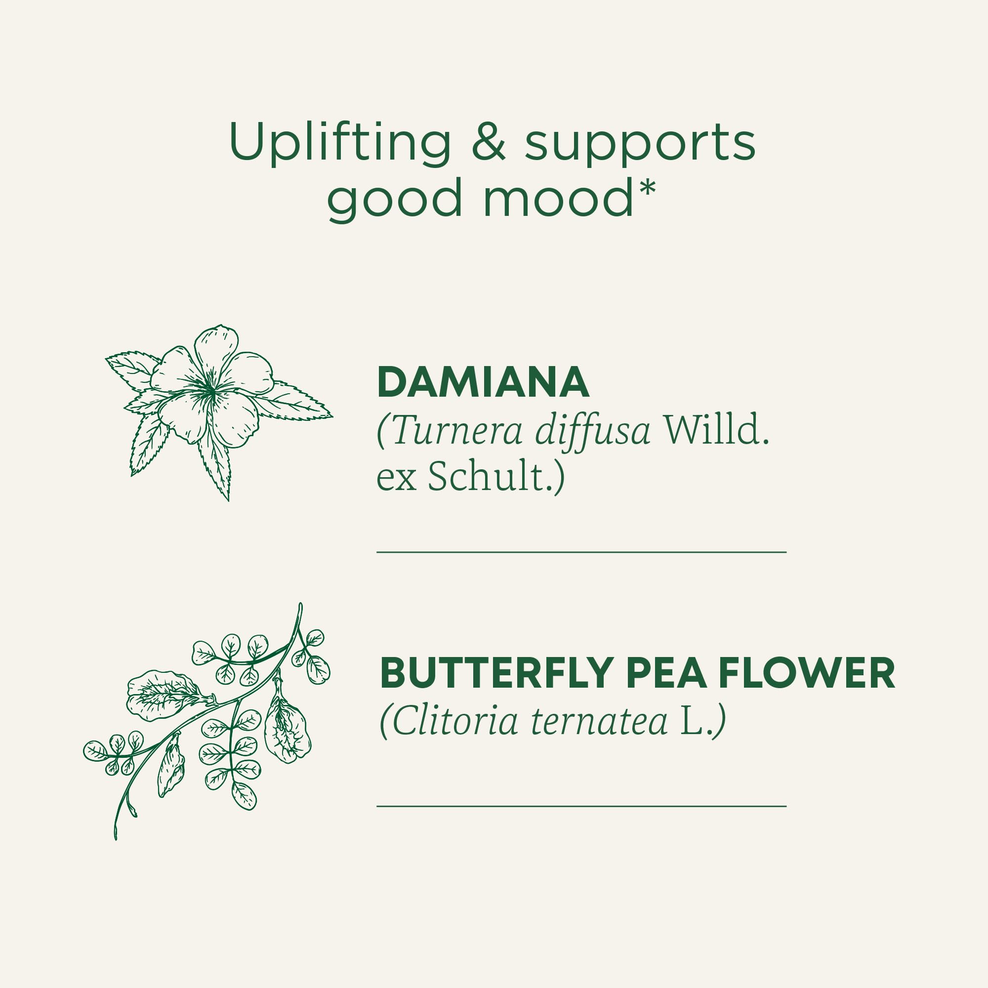 Close-up of rose, hawthorn, and butterfly pea in the blend.