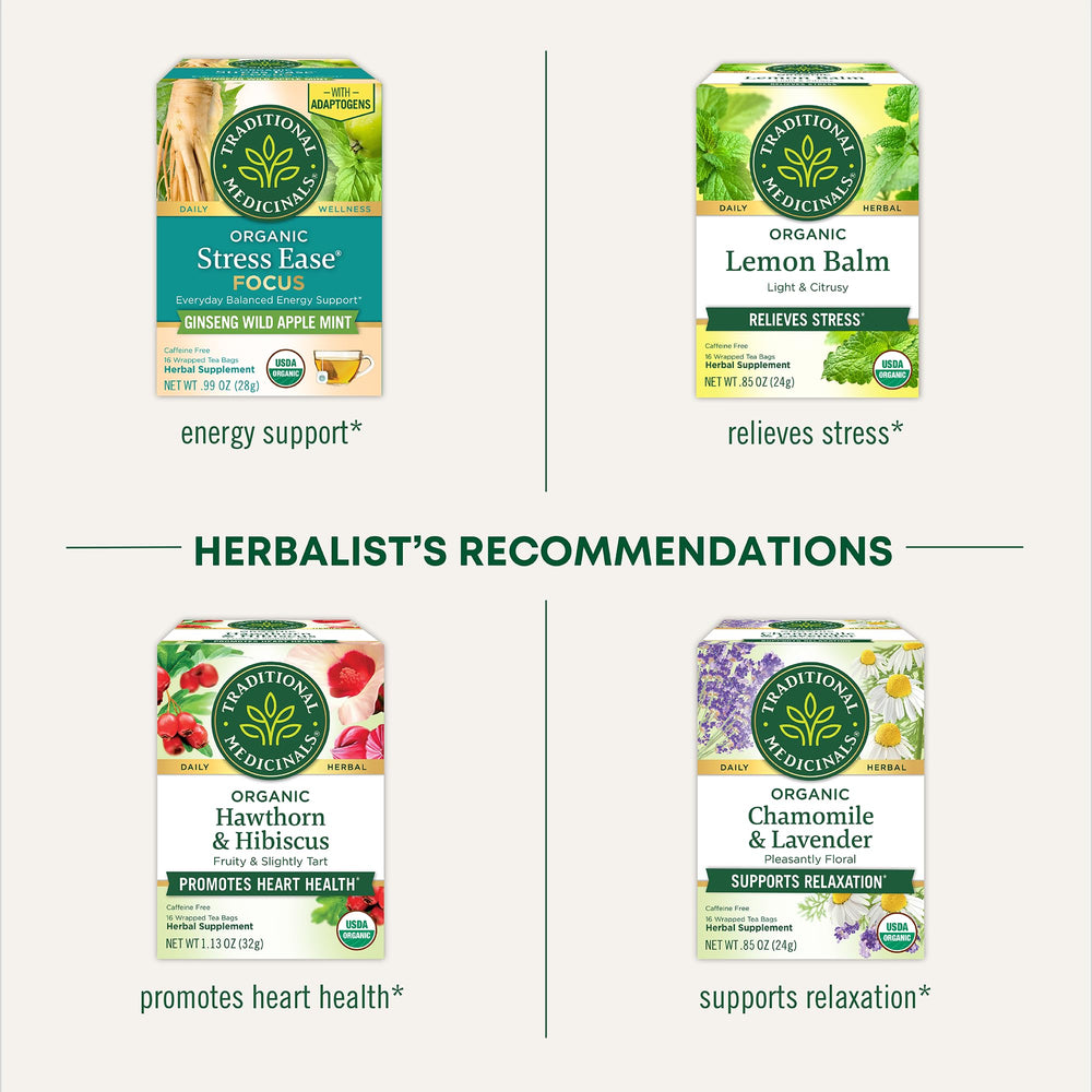 Compostable tea bag inside eco-friendly packaging by Traditional Medicinals.