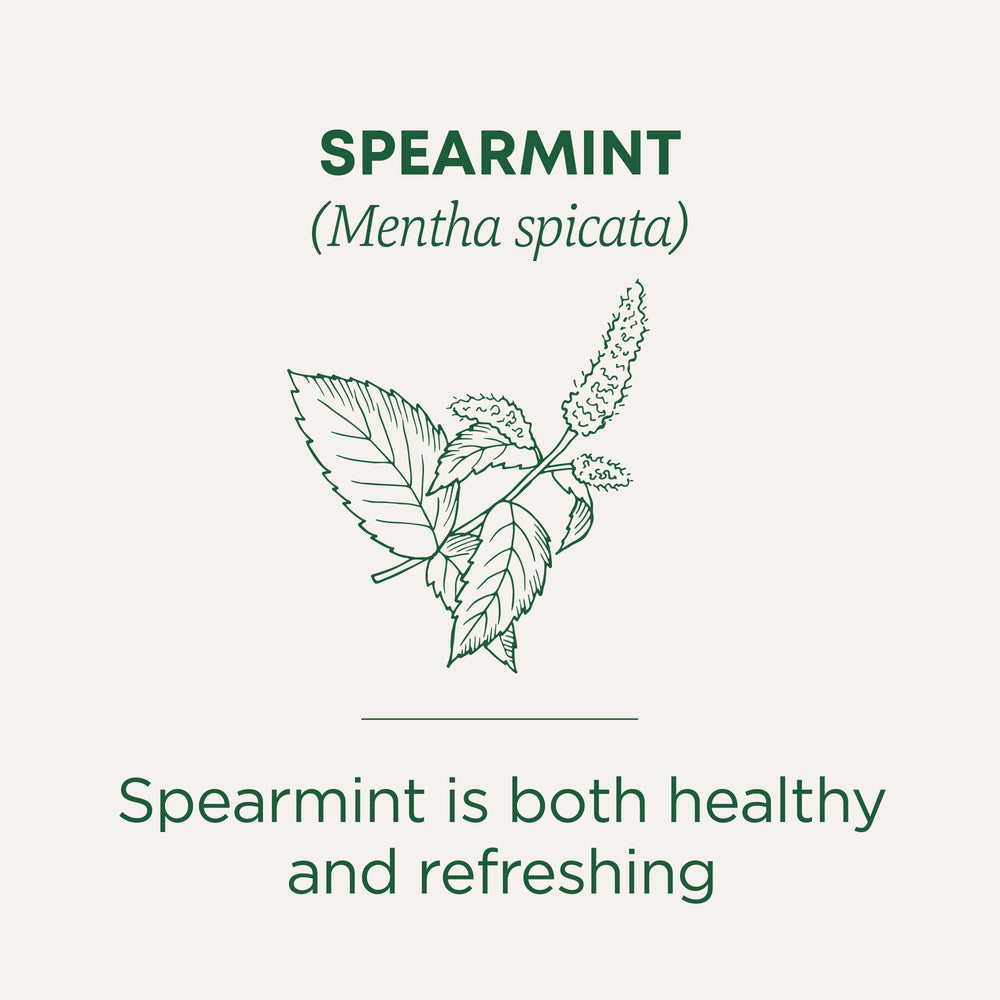 Traditional Medicinals spearmint leaves image showing natural mint quality.