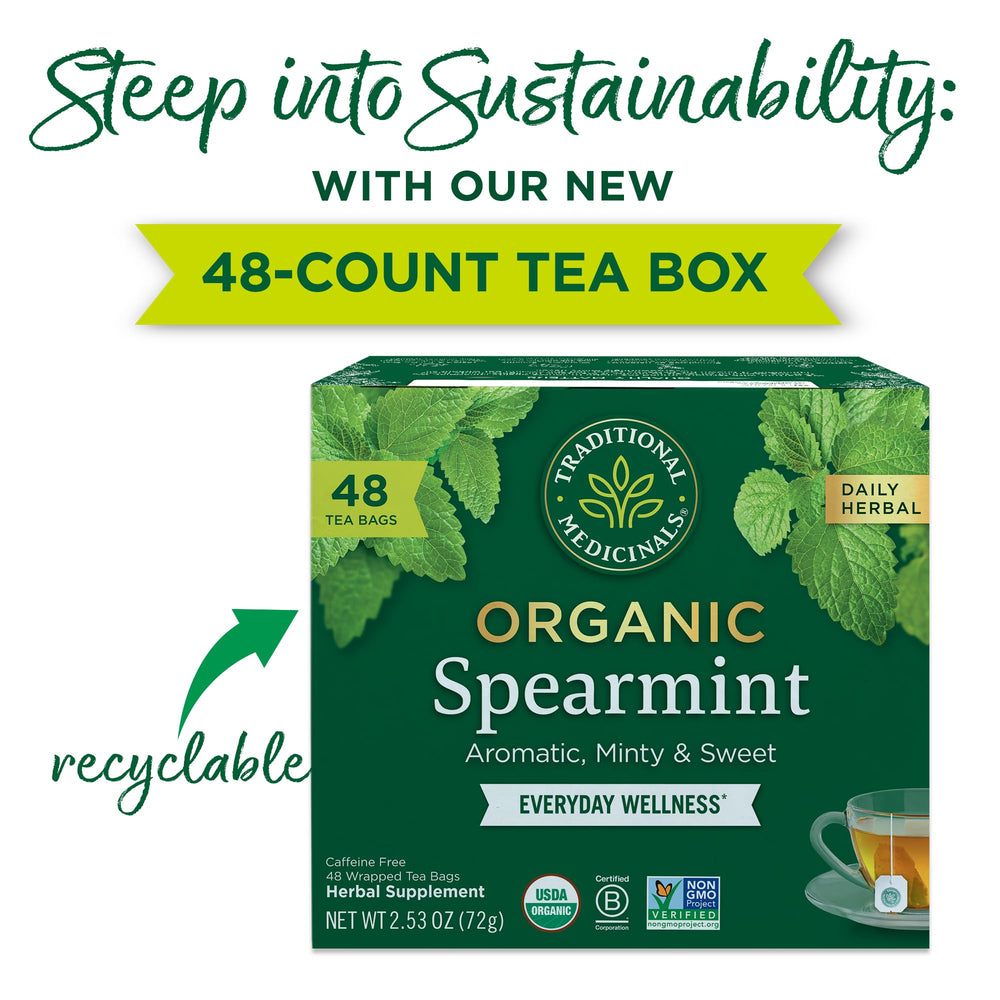 Traditional Medicinals spearmint tea steeping cup, hot mint infusion.