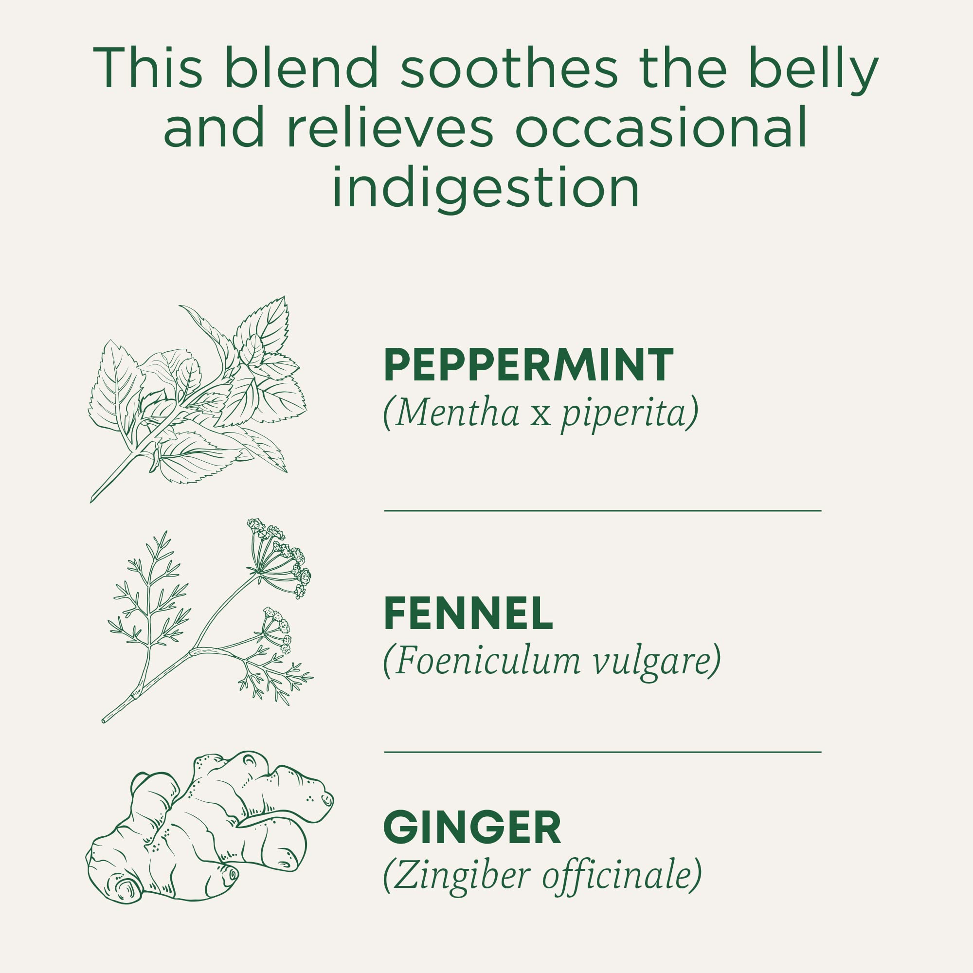 Traditional Medicinals steaming cup, minty aroma and gentle, revitalizing lift.