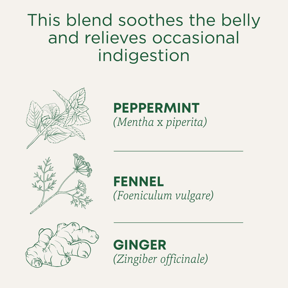 Traditional Medicinals steaming cup, minty aroma and gentle, revitalizing lift.