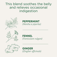 Traditional Medicinals steaming cup, minty aroma and gentle, revitalizing lift.