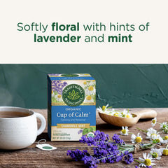 Traditional Medicinals tea steeping in a cup with steam