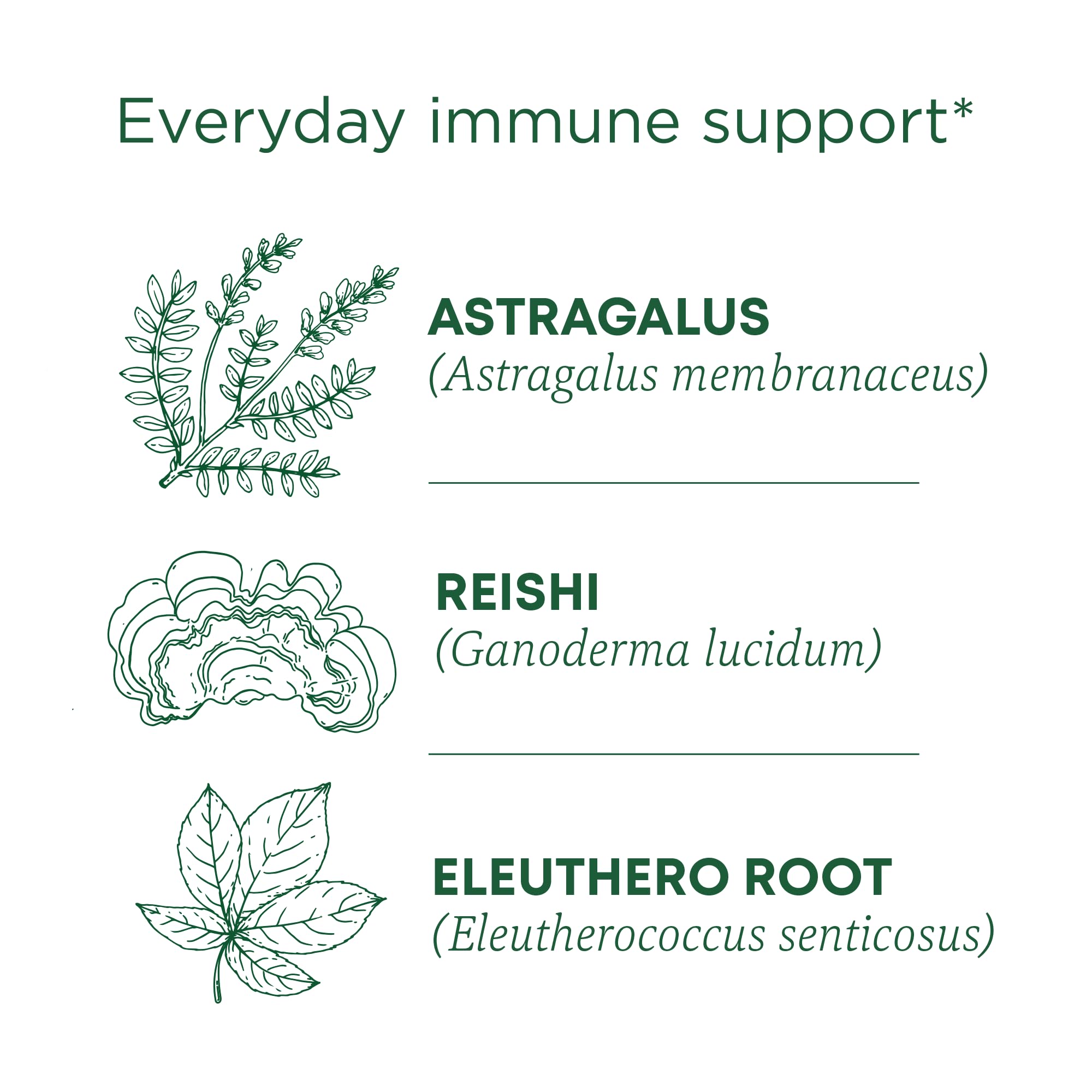 Traditional Medicinals Stress Ease Immune tea steep setup with warming scent.