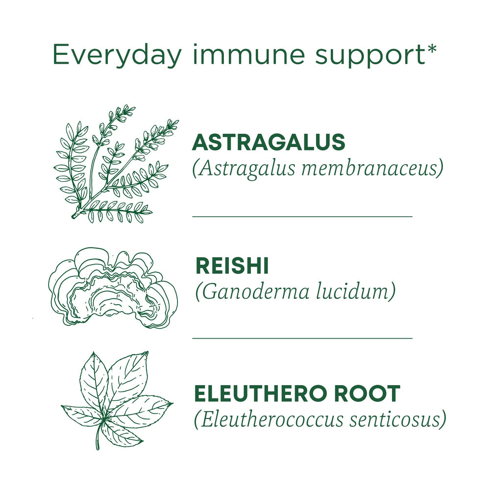Traditional Medicinals Stress Ease Immune tea steep setup with warming scent.