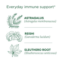 Traditional Medicinals Stress Ease Immune tea steep setup with warming scent.