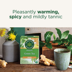 Traditional Medicinals brewed cup with steam evokes cozy digestion-friendly moments.