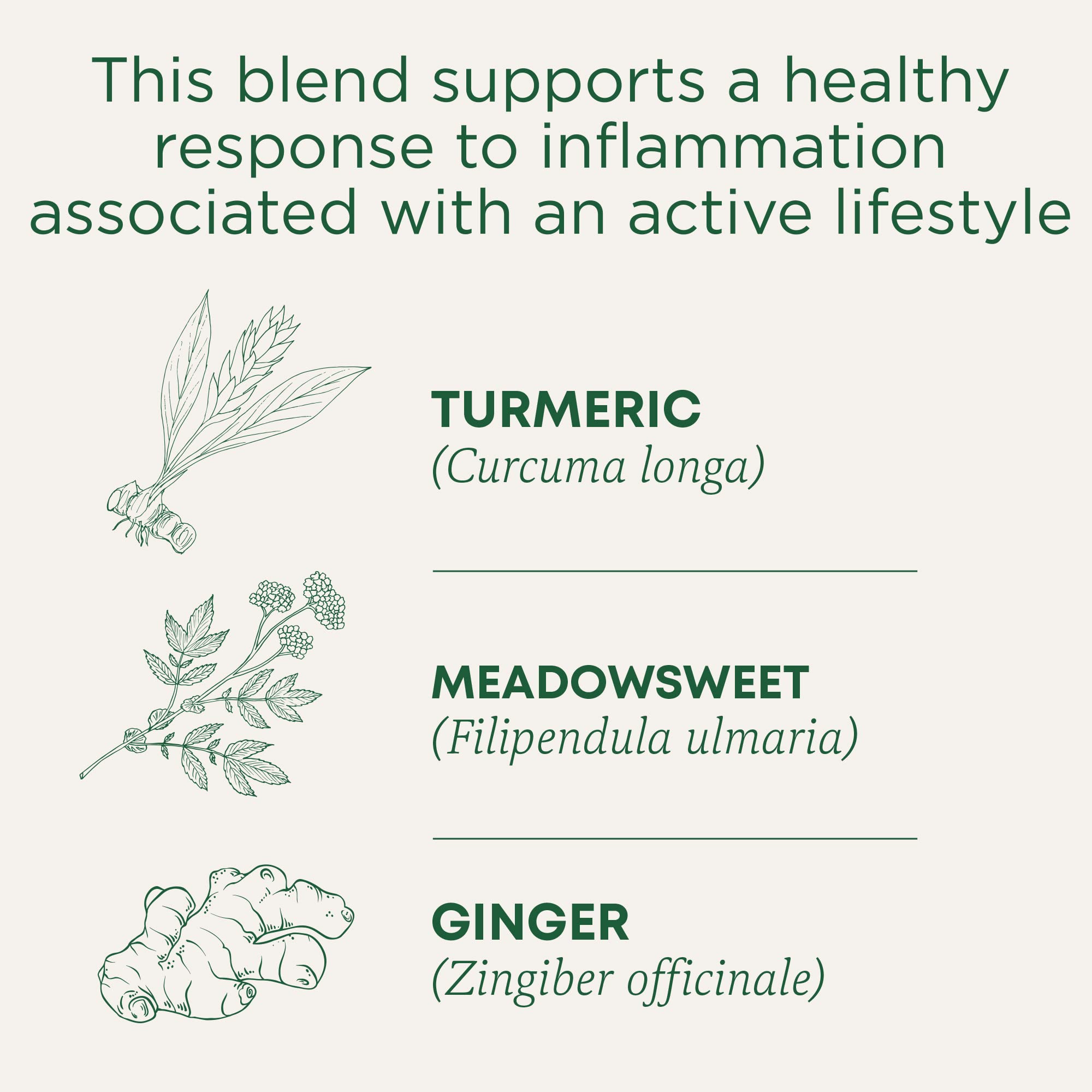 Brewing Traditional Medicinals tea emits warm steam in a cozy mug