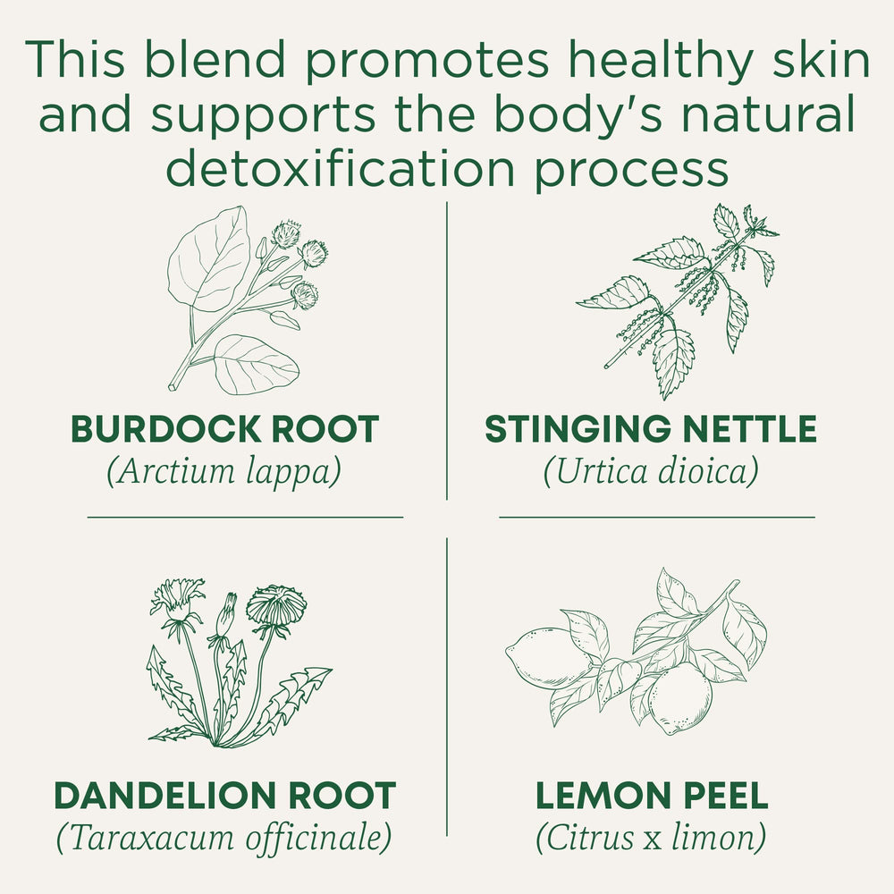 A cup of Traditional Medicinals Everyday Detox Lemon tea with a lemon slice.