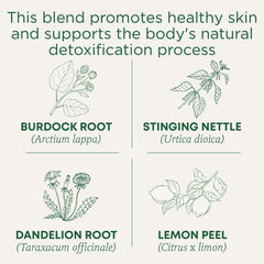 A cup of Traditional Medicinals Everyday Detox Lemon tea with a lemon slice.