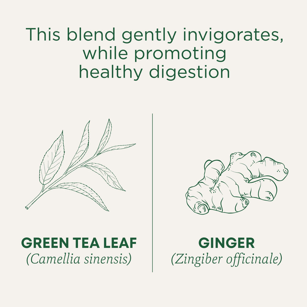 Traditional Medicinals ginger slices close-up suggest bright, spicy aroma.