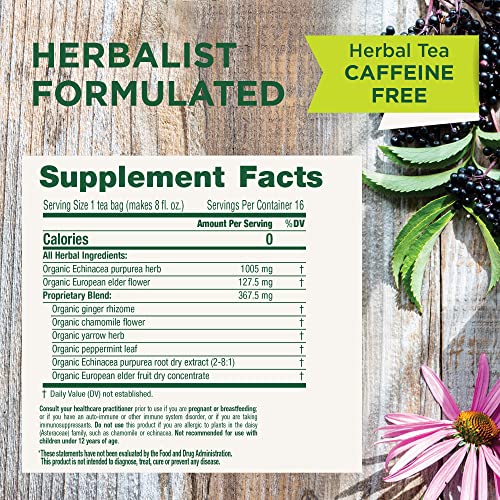 Traditional Medicinals cup with infusion of echinacea plus elderberry and sweet-tart notes.
