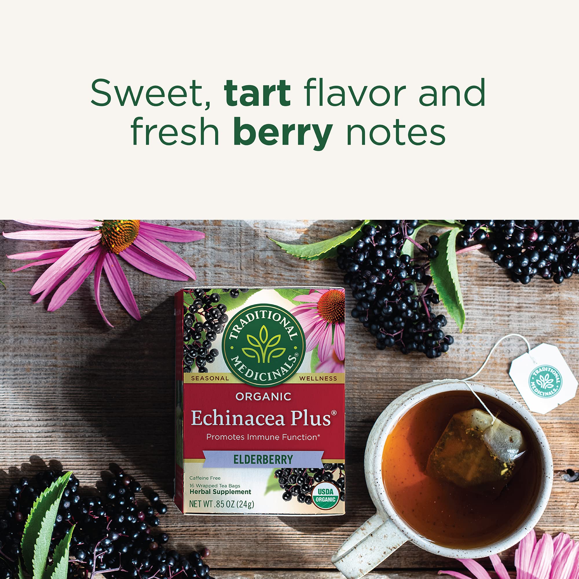 Close-up of echinacea and elderberry ingredients in Traditional Medicinals blend.