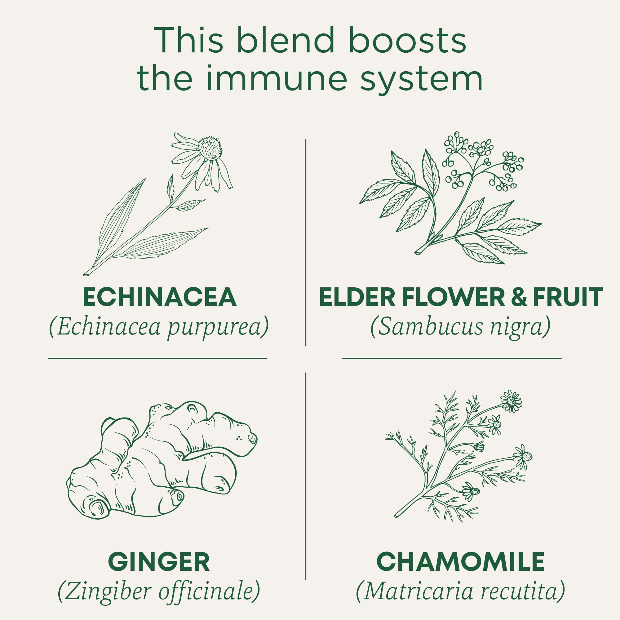 Packaging box shows organic and non-GMO seals for Traditional Medicinals blend.