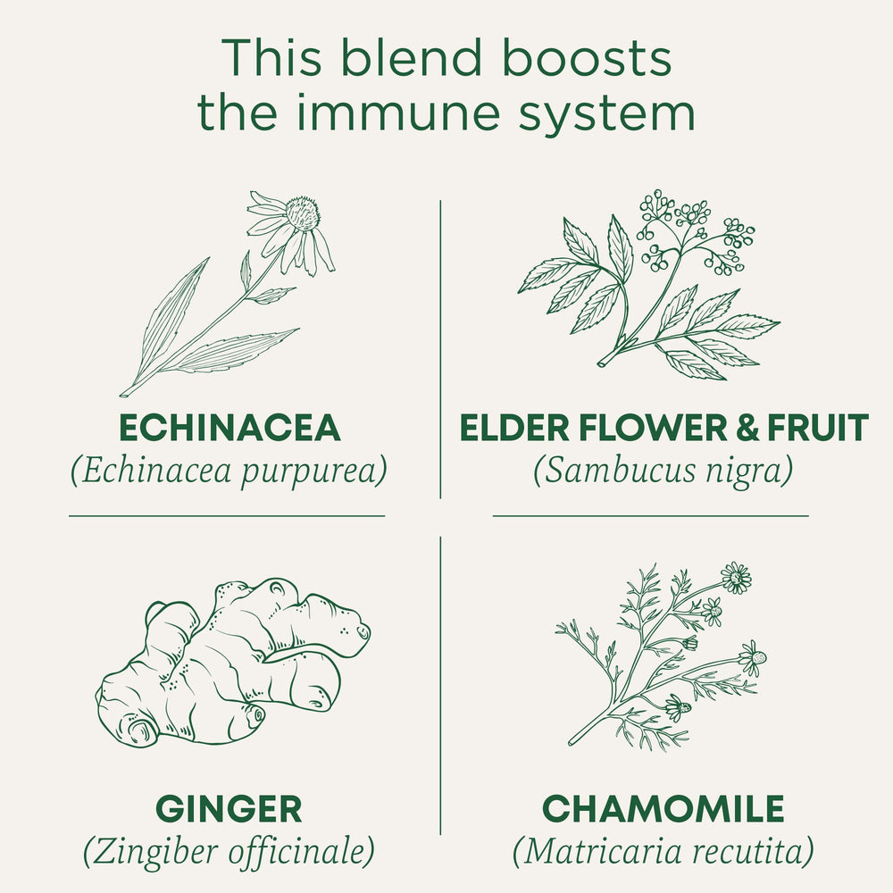 Packaging box shows organic and non-GMO seals for Traditional Medicinals blend.