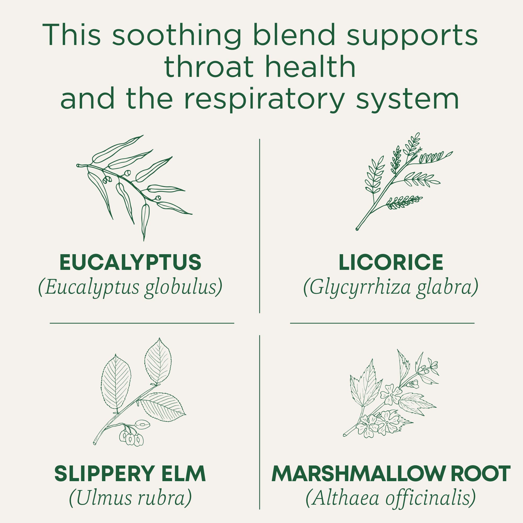 Traditional Medicinals Throat Coat Tea cup steaming, inviting a soothing moment