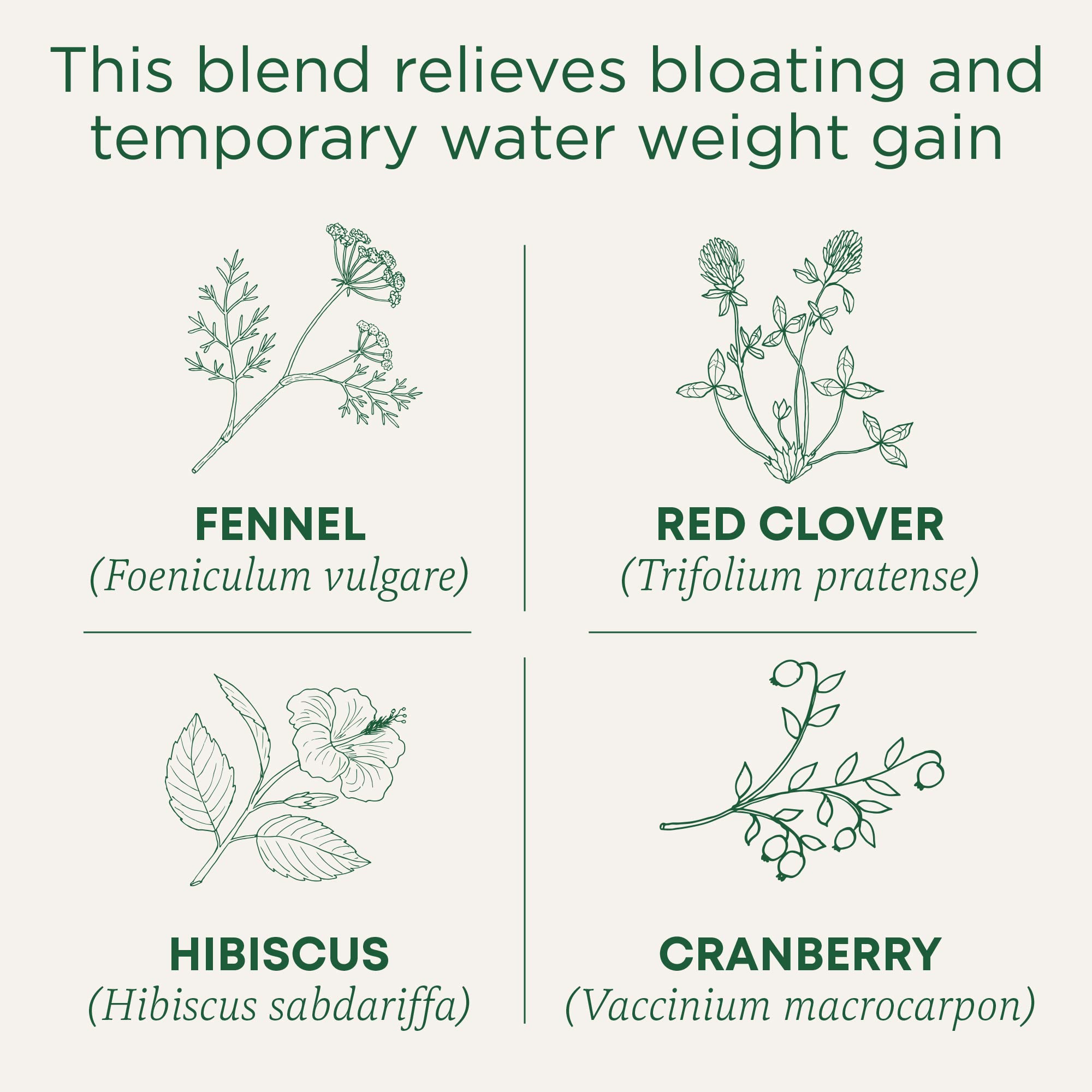 Traditional Medicinals Weightless Cranberry tea cup infusing with a bright, caffeine-free aroma.