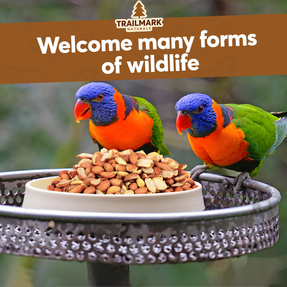 Trailmark Naturals bulk peanuts are ideal for regular feeders and wildlife stations.