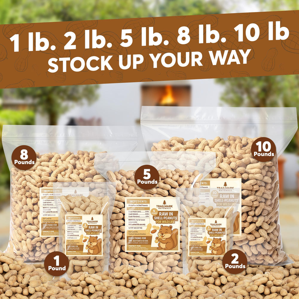 Trailmark Naturals raw peanuts in shell close-up; ideal for cracking and nibbling.