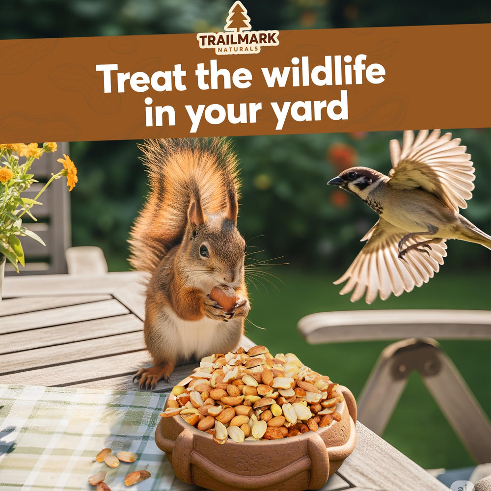 Trailmark Naturals shelled peanuts at feeders offer dependable seasonal wildlife snacks.