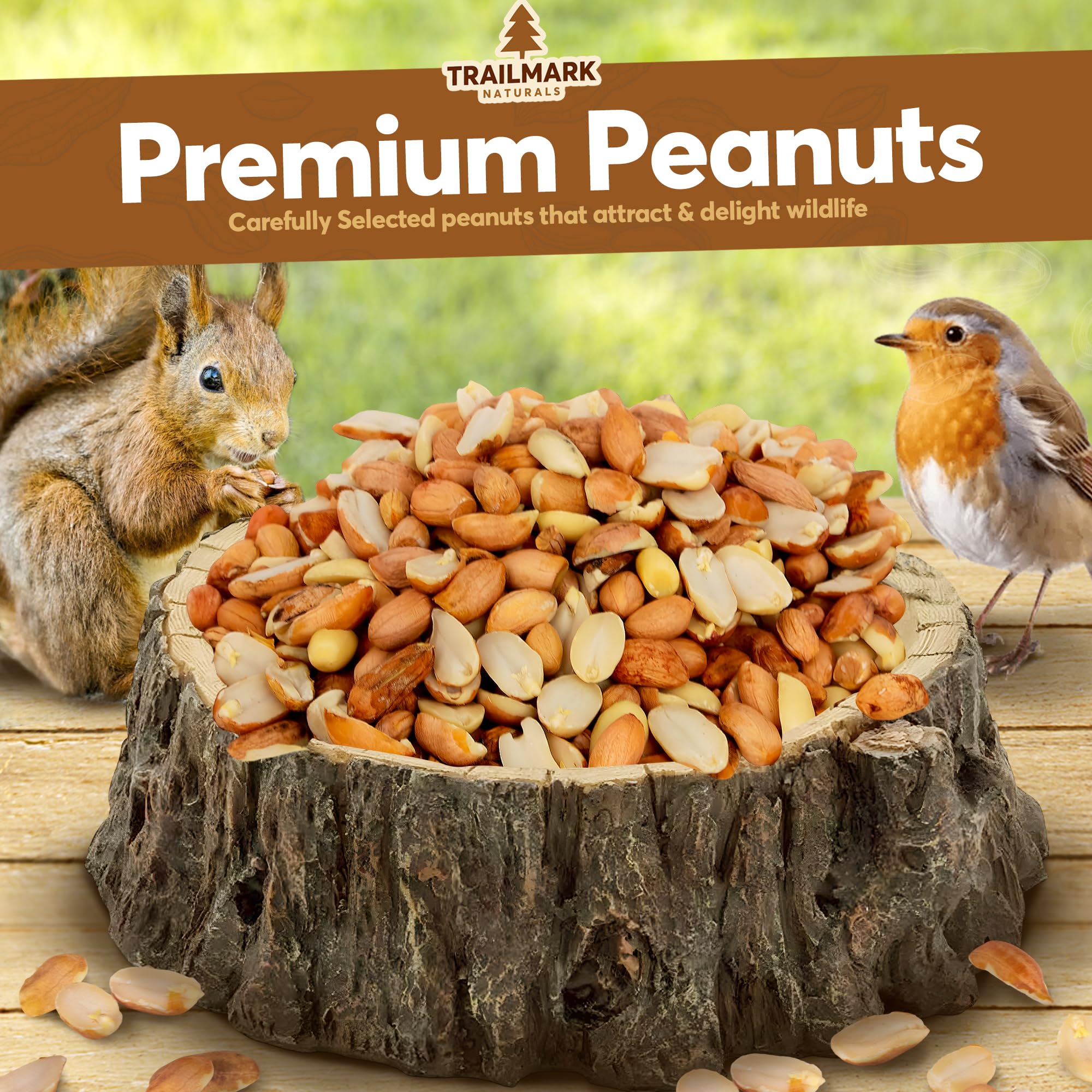 Trailmark Naturals unsalted peanuts attract backyard birds like blue jays and woodpeckers.