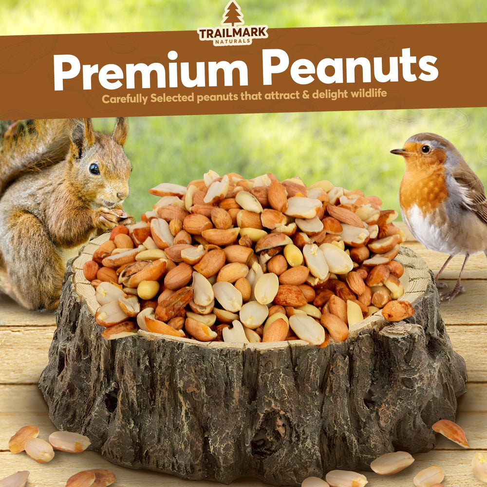 Trailmark Naturals unsalted peanuts attract backyard birds like blue jays and woodpeckers.
